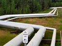 Pipelines at Canadian Natural Resources Ltd.'s Primrose Lake oil sands project near Cold Lake, Alta.