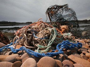 FILE - A washed-up lobster trap and tangled line sit on a beach in Biddeford, Maine, Nov. 13, 2009. Marine Stewardship Council, one of the most cited seafood sustainability organizations in the country, has decided to suspend the Maine lobster fishery's sustainability certificate over concerns about threats to whales.
