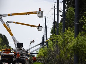 Utility workers use bucket lifts to repair power lines in Ottawa, after a powerful wind storm last May struck in various parts of Ontario.