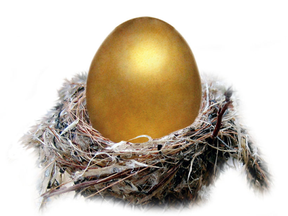 A golden pension egg in a nest