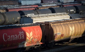 Railroad grain cars in the yards near the Port of Vancouver. When ships cannot load trains carrying the grain are also left waiting.