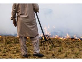 A farm worker monitors the burning of rice crop stubble in Punjab in November 2019.