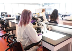 A researcher uses accessible equipment in a university lab
