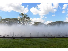 Water vapor is sprayed at a Wilmar Sugar Australia Ltd. processing plant near Ayr, Queensland, Australia, on Sunday, Aug. 9, 2015. Photographer: Carla Gottgens/Bloomberg