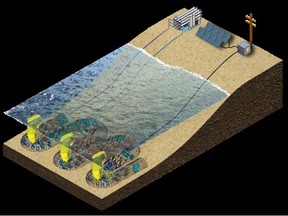 The CCell reef-growing system is based on the electrolysis of seawater to deposit calcium carbonate (limestone) on large steel frames which function as anodes and cathodes (electrodes) and gives the new reef its early structure. Vicor Factorized Power Architecture is used to convert a widely varying wave energy input voltage range which must be tightly regulated within a 'goldilocks zone' of 1.2V and 4V.  This is needed to drive a precisely calculated current through the seawater. By factorizing the DC-DC function into two modules, a PRM regulator and a VTM current multiplier, the power delivery network can be optimized for regulation and conversion.