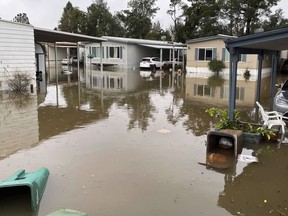In this photo provided by Juan Reyes, homes are surrounded by floodwaters at the Arbor Mobile Home Park where he lives in Acampo, Calif., Sunday, Jan. 15, 2023. In California, only about 230,000 homes and other buildings have flood insurance policies, which are separate from homeowners insurance. Reyes did not buy flood insurance, worried it was too expensive.