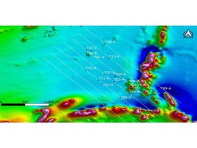 Target drill holes, 21-line km I.P. Grid, Total Magnetic Intensity (TMI)
