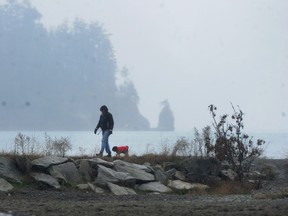 Rainy day dog walkers on Amble side Beach brave the heavy wind in West Vancouver, B.C.