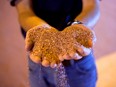 A pile of processed potash at the Mosaic Co. Colonsay potash mine storage facility in Saskatchewan.