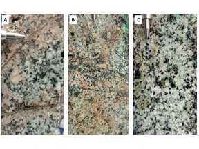 (A) Quartz monzonite porphyry with sericite alteration cut by early dark micaceous veinlets (B) Monzonite with sericite alteration and disseminated pyrite replaced by iron oxide (C) Monzonite with sericite alteration and disseminated pyrite-chalcopyrite, locally replaced by copper oxide