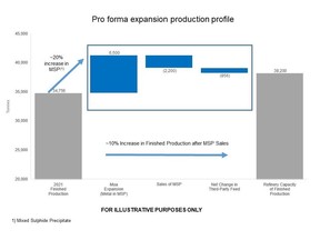 Appendix 1. Pro forma expansion production profile