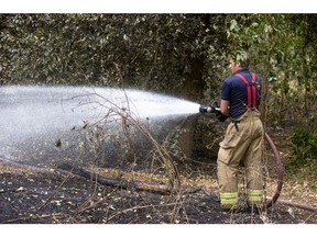 A firefighter sprays water to dampen the ground on Britain's Dartford Heath in July 2022 following a major fire during a heat wave.