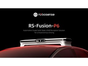 RS-Fusion-P6