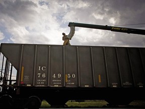 A worker directs grain into a train car in Alberta.