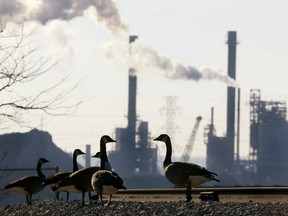 A group of Canada geese stand on railway tracks as a plant operates in the background at Hamilton Harbour in Hamilton, Ont.