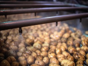 Potatoes at the washing department at the McCain Foods Ltd. French fries factory in Matougues, France.
