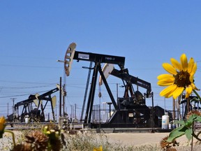 Oil pumpjacks along a section of Highway 33, known as the Petroleum Highway, north of McKittrick in Kern County, California.