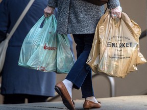 The plastic shopping bag case could provide an important turning point against the activist attempt to turn all plastic uses into a crime against the environment.