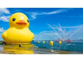 The World's Largest Rubber Duck returns to Toronto for the 2023 Toronto Waterfront Festival. Photo taken at the 2017 Redpath Waterfront Festival by Jim Orgill.