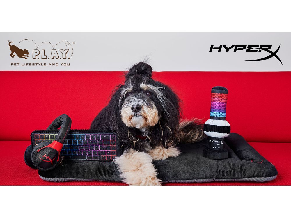 HyperX Releases Gamer-Inspired Pet Toys