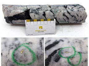 Figure 1: Photos of mineralization from NFGC-22-1040: Top: at ~46m Left: at ~46.3m Right: at ~47m. ^Note that these photos are not intended to be representative of gold mineralization in NFGC-22-1040.