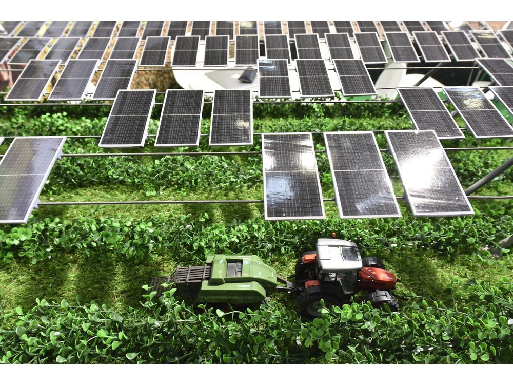 Intersolar Europe: Agrivoltaik – Solarenergie ernten