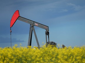A pumpjack is seen surrounded by canola on the eastern edge of Calgary.