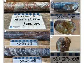 Figure 3. Core photos from drill hole SD-23-013 at the Haven discovery, highlighting significant alteration and structure associated with elevated radioactivity. All drill core is NQ diameter (47.6mm). A) Oxidized fault breccia hosting elevated radioactivity up to 1,000 cps (1,300 cps on gamma probe). B) Hematized fracture coated with dravite-clay alteration; Up to 100 cps, 31.05m. C) Strongly hematite-altered fault breccia with druzy quartz-siderite vugs; Up to 100 cps, 76.25m. D) Oxidized fracture surface lined with dravite-clay alteration; Up to 85 cps, 19.75m. E) Quartz-clay ± dravite-healed mosaic breccia; Up to 80 cps, 54.3m. F) Druzy quartz fracture with dravite and hematite-limonite alteration; Up to 85 cps, 22.86m.