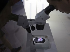 FILE - A visitor to the 21st China Beijing International High-tech Expo looks at a computer chip through the microscope displayed by the state-controlled Tsinghua Unigroup project which has emerged as a national champion for Beijing's semiconductor ambitions in Beijing, China on May 17, 2018. The European Union was closing in Tuesday April 18, 2023 on approval for a plan to ramp up semiconductor production as it seeks to ween itself off reliance on Asia for the tiny computer chips that control everything from cars to washing machines.