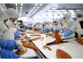 Workers filet salmon at a processing plant in Puerto Montt, Chile. Photographer: Luis Sergio/Bloomberg
