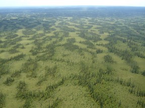The McClelland Lake complex, about 90 kilometres north of Fort McMurray, comprises two large patterned fens — peat-producing wetlands featuring long strings of trees and shrubs separated by narrow pools.