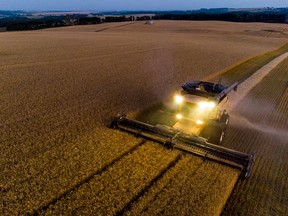 A farmer harvest wheat in Alberta, in September.