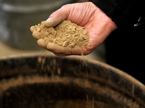 A miner shows a handful of rocks containing rare earth elements in Mountain Pass, California. Minerals like these are needed to reach net-zero emissions by 2050.