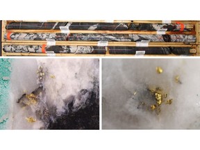 Figure 1: Top: Brecciated gold-bearing vein from NFGC-QS-22-19 at ~199m: Bottom Left: Visible gold in NFGC-QS-22-18 at ~48m Bottom Right: Visible gold in NFGC-QS-22-21 at ~222m. ^Note that these photos are not intended to be representative of gold mineralization in NFGC-QS-22-18,19,21.