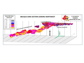 The 3D model of the mineral resources for the West Zone of the Ferguson Lake Project