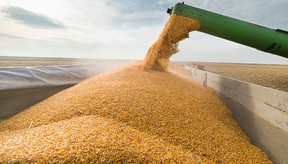 Exporters are required by law to pay for the CGC's official quality certification before shipping Canadian grain around the world, outside of the United States.