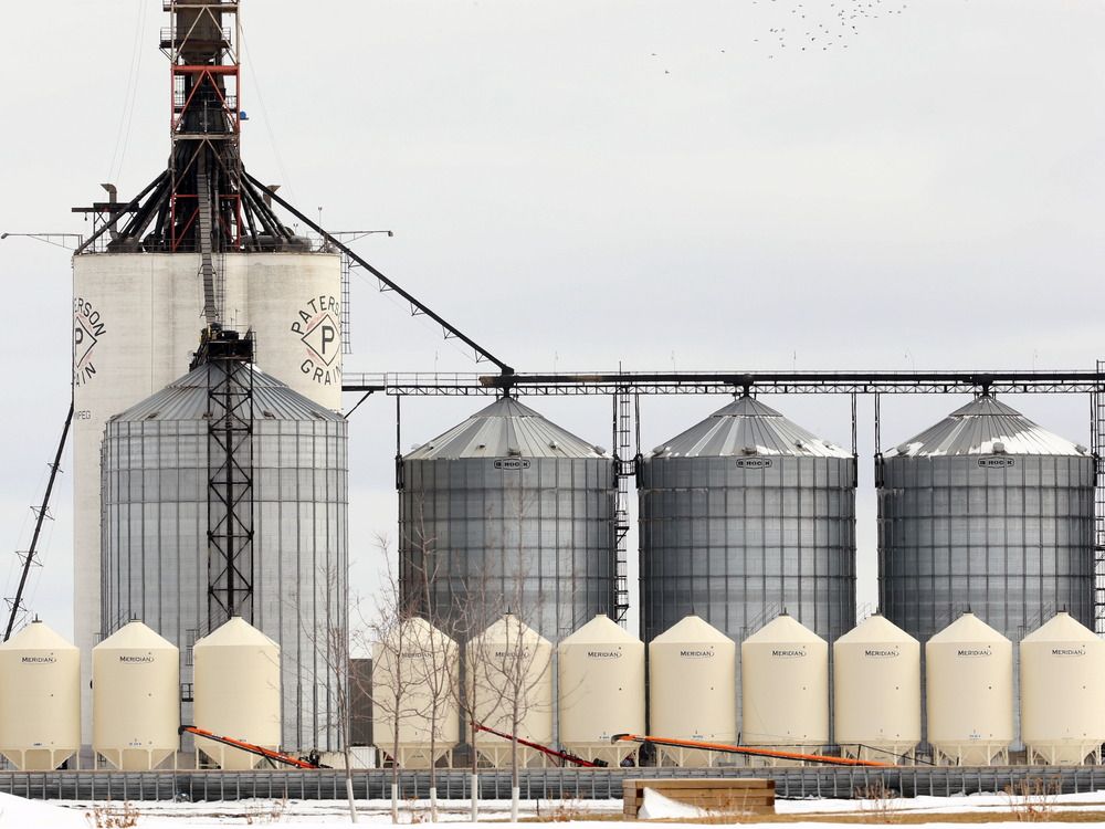 About 94 per cent of all grain elevators are captive shippers.