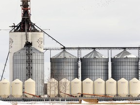 About 94 per cent of all grain elevators are captive shippers.