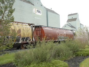 A train hauling grain in Alberta.