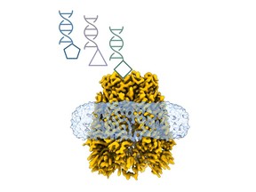 Membrane protein drug targets (orange) embedded in Salipro® particles (blue) combined with DNA-Encoded Library (DEL) technology from DyNAbind enable the development of novel drugs for challenging targets.