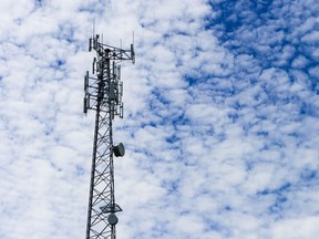A cell tower is pictured in rural Ontario on Wednesday, July 15, 2020. Ottawa says a new licensing policy will make it easier for small internet service providers and rural, remote and Indigenous communities to access 5G spectrum.