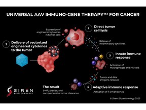 A novel approach to fight cancer that combines the promise of two transformative therapeutic technologies, AAV gene therapy and cytokine immunotherapy, into a single transformative modality