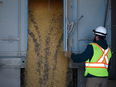 A worker unloads soybeans from a truck at a Viterra grain elevator near Rosser, Manitoba