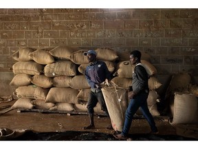 Workers move sacks of coffee inside a warehouse at Thiririka farming cooperative in Kiambu County, Kenya, on Friday, Nov. 25, 2022. Agriculture, Kenya's biggest economic sector and employer, contracted for a third straight quarter, where a prolonged drought has left almost 5.5 million people facing hunger, according to the United Nations. Photographer: Patrick Meinhardt/Bloomberg