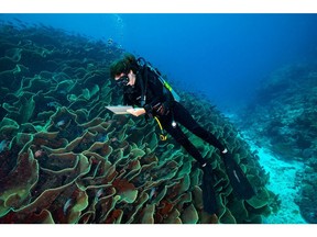 Dr. Elizabeth McLeod, The Nature Conservancy's Global Oceans Director, conducting research in Ulong Channel, Palau as part of the Super Reefs project, a collaborative effort to discover the secrets of "super reefs" with support from Mary Kay. (Credit: © Kip Evans/CCC Marketing)