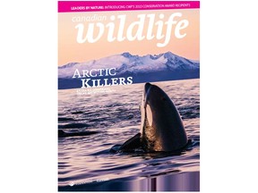 Recipients of 2023 Conservation Achievement Awards are profiled in the July/August issue of Canadian Wildlife and Biosphère magazines available on newsstands and by subscription