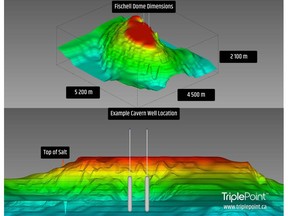 Geophysical Representation of the Fischell's Brook Salt Dome
