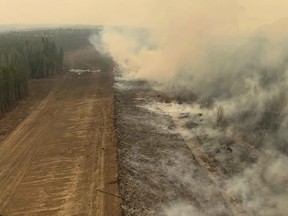 A burned section of forest in the area near Edson, Alta.