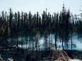 Smoke rises from burning trees near Chapais, in Northern Quebec, on June 2.
