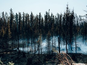 Smoke rises from burning trees near Chapais, in Northern Quebec, on June 2.